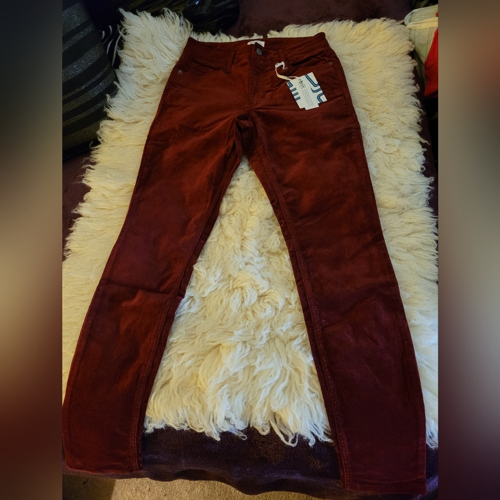NWT Market & Spruce Pants